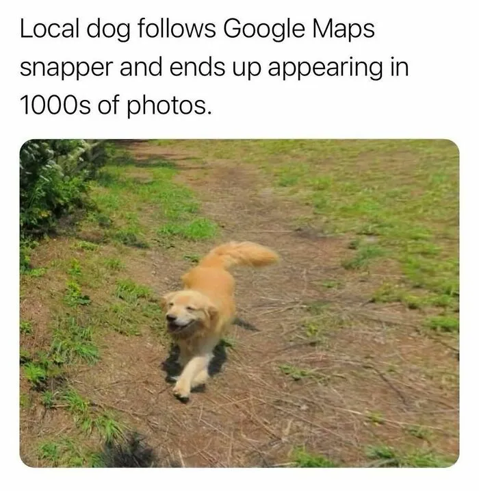 50 Funny And Awkward Animal Posts That Might Make Your Day Much Better