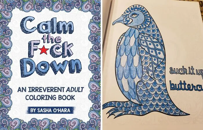 <a style="display:inline;" href="https://www.amazon.com/Calm-Down-Irreverent-Adult-Coloring/dp/1522864741?ie=UTF8&linkCode=ll1&tag=bppelican-20&linkId=4c12a8a55a9e07374df9a6b5352b4a26&language=en_US&ref_=as_li_ss_tl " target="_blank"> <span Style="Font:inherit;color:#d74b1f;">Irreverent Adult Coloring Book</span>: Because Adulting is Hard AF