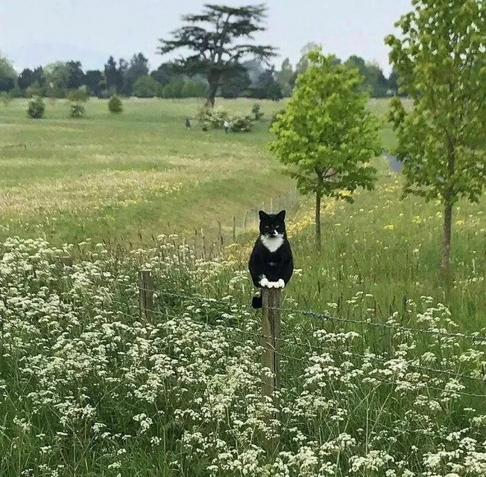 "I Want To Leave Ok" Is Pretty Much The Weirdest Instagram Account, Here Are 50 Pics To Prove It (New Pics)