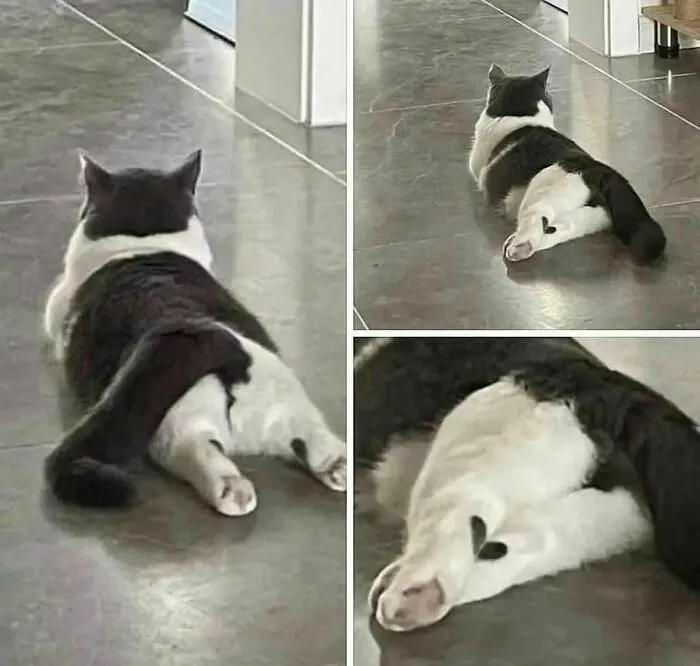 "I Want To Leave Ok" Is Pretty Much The Weirdest Instagram Account, Here Are 50 Pics To Prove It (New Pics)