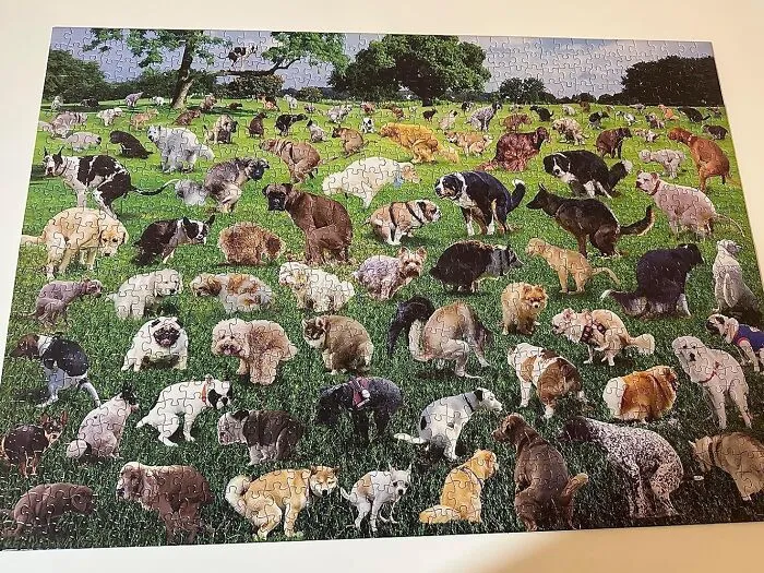 <span Style="Font:inherit;color:#d74b1f;"> 1000 Piece Pooping Dog Puzzle</Span>: A Crappy Way To Spend Time
