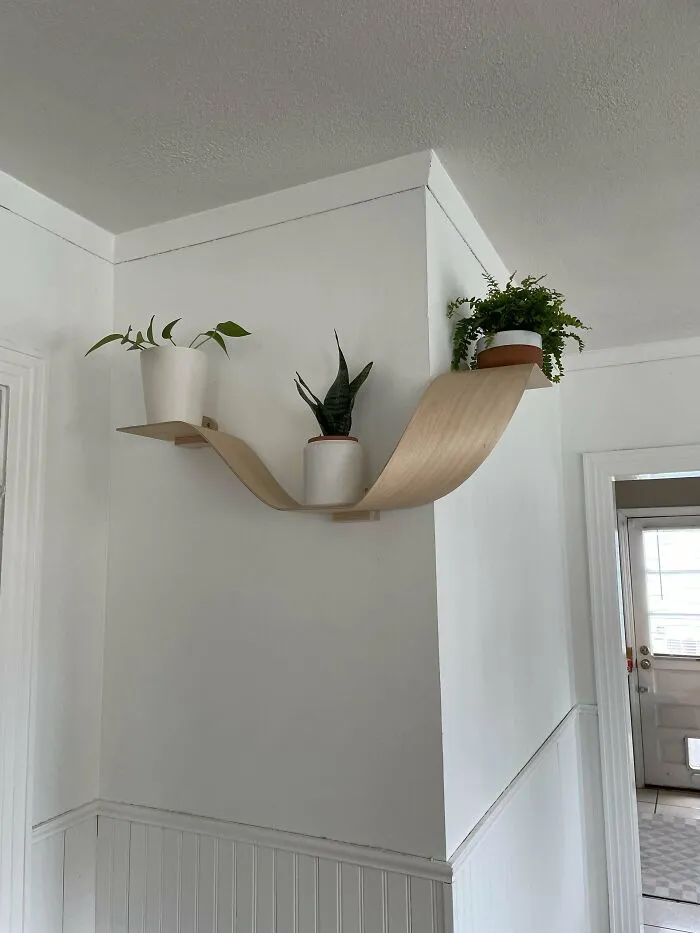Curved Shelf Experiments