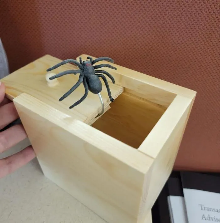 Just To Be Safe, Make Sure The Person You Give This <span Style="Font:inherit;color:#d74b1f;"> Spider Surprise Box</Span> To Has Good Health Insurance Or Spare Underwear