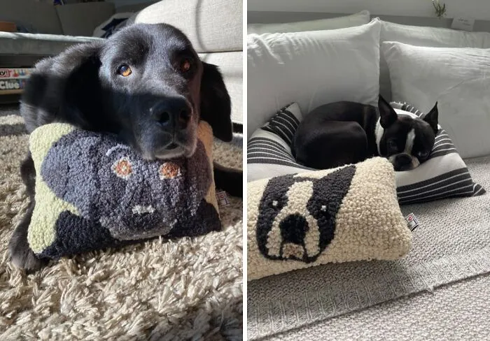 If You Can't Get Enough Of Your Pooch's Adorable Mug, Get One Of These <span Style="Font:inherit;color:#d74b1f;"> Dog Face Pillows </Span>