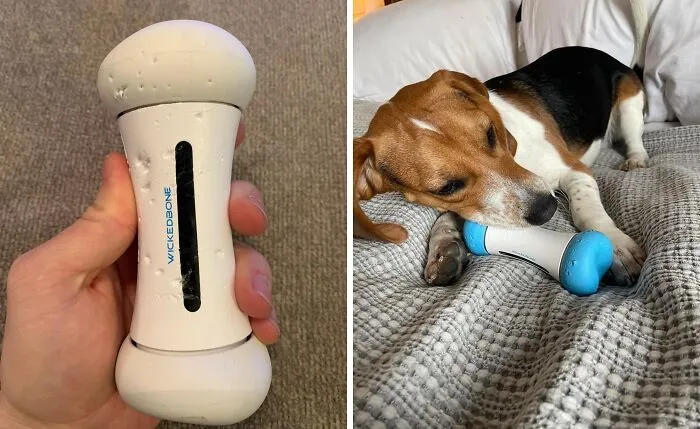 <span Style="Font: Inherit; Color: #d74b1f;"> Smart Bone Dog Toy</Span>: Fetch 2.0 - This Bone Has Brains!