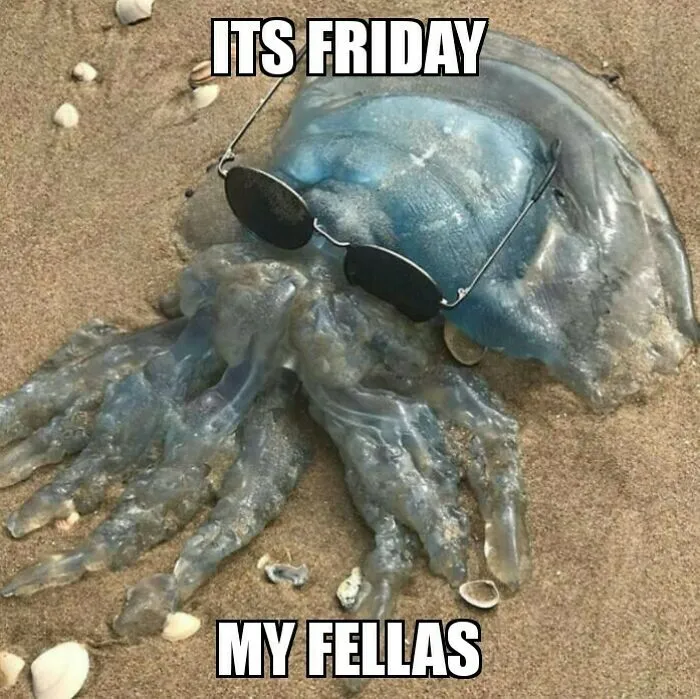 Jellyfish on the beach wearing sunglasses with "It's Friday my fellas" text; a happy Friday meme.
