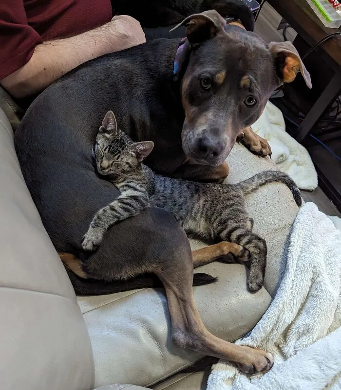 He's In Love, She's Not Quite Sure Yet