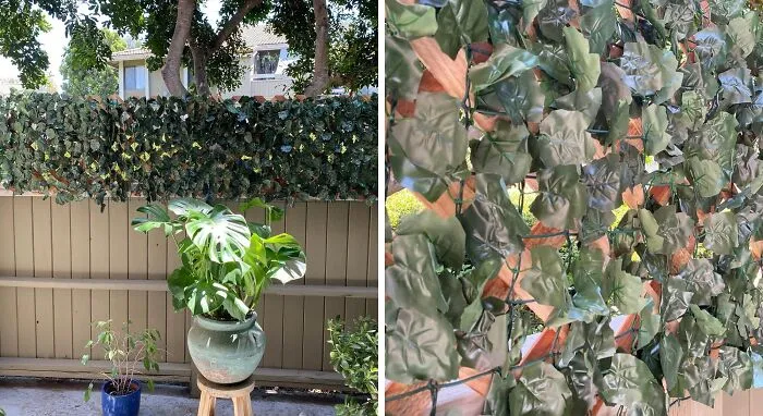 Create Your Own Secret Garden With A <span Style="Font: Inherit; Color: #d74b1f;"> Faux Ivy Screen</Span> That Keeps Nosy Neighbors Out