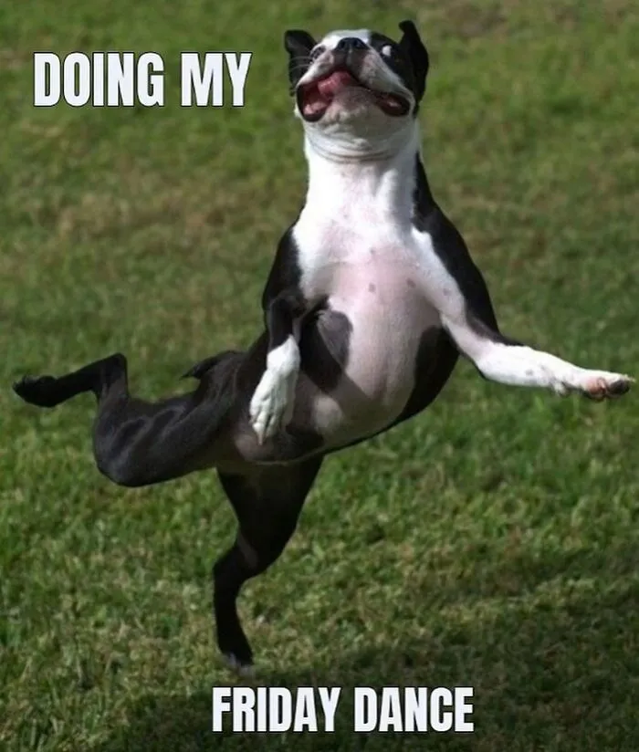 Happy Friday meme with a dog joyfully leaping on grass, celebrating the weekend.
