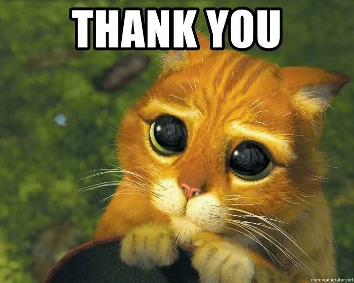 A Cute Way to Express Your Gratitude