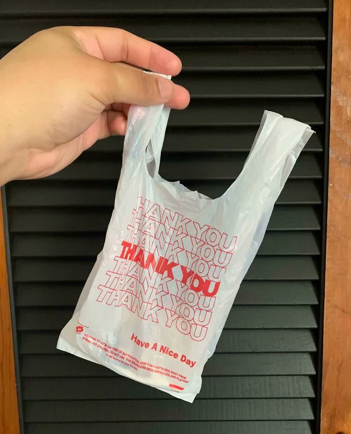 “My Purchase Came In This Tiny Thank You Bag”