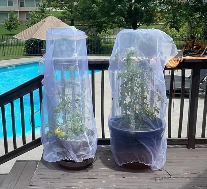 <span Style="Font: Inherit; Color: #d74b1f;"> Insect And Bird Barrier Netting Mesh With Drawstring</Span>: Outsmart Pesky Pests And Protect Your Precious Harvest!