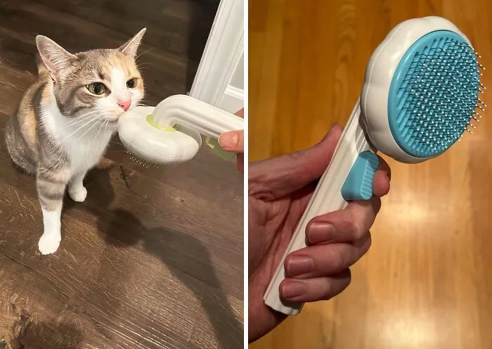 Pamper Your Pet (And Your Floors) With The <span Style="Font: Inherit; Color: #d74b1f;"> Self-Cleaning Cat & Dog Brush</Span>