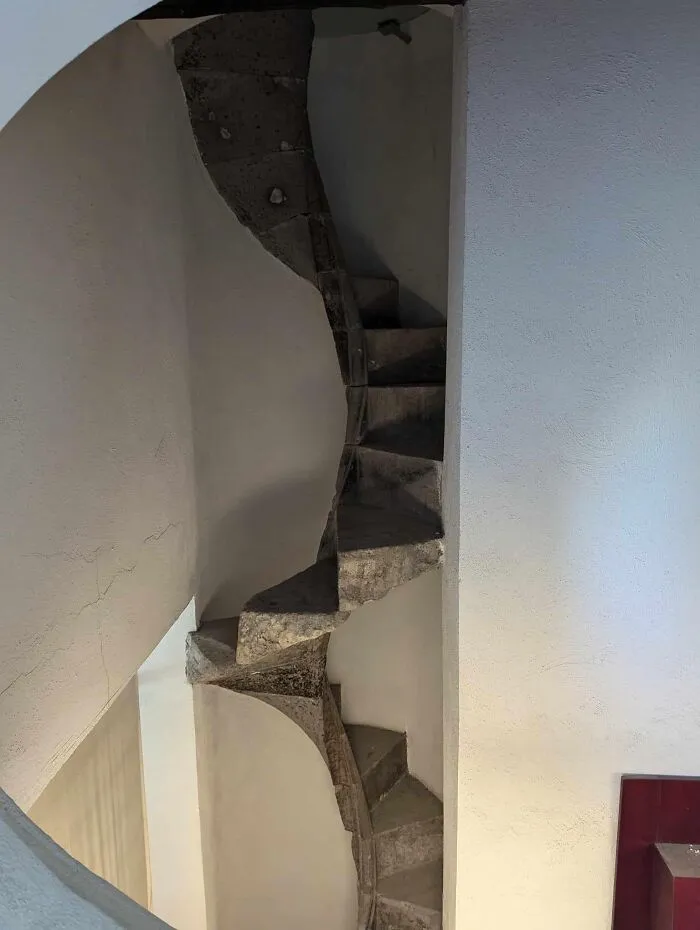 Found Today In Sorrento, Italy