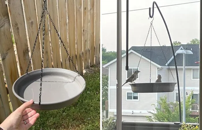 <span Style="Font: Inherit; Color: #d74b1f;"> Hanging Bird Bath And Feeder</Span>: Invite Feathered Friends To Your Garden Oasis!
