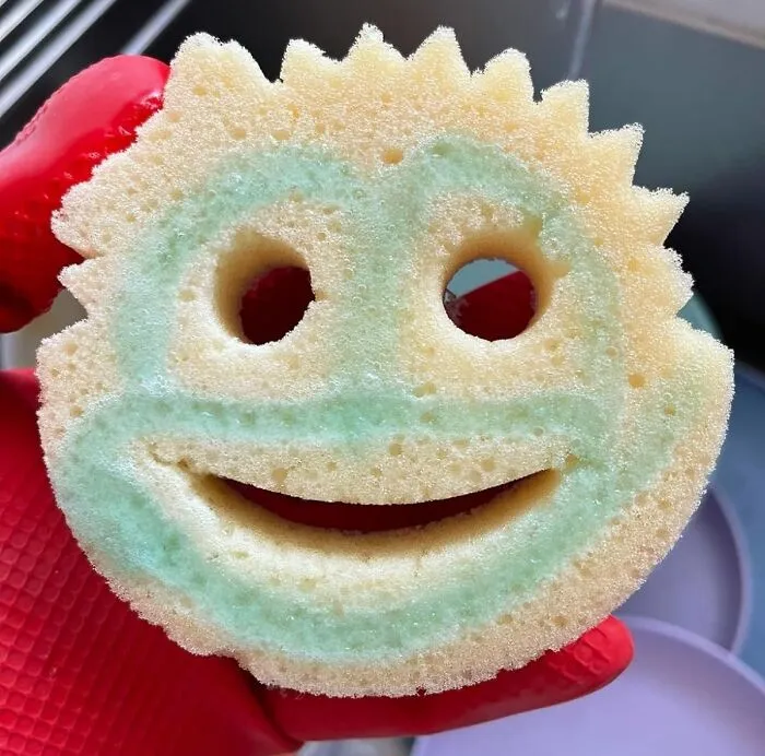 From Burnt-On Messes To Delicate Glassware: <span Style="Font: Inherit; Color: #d74b1f;"> Scrub Daddy & Scrub Mommy</Span> Can Handle Any Cleaning Challenge