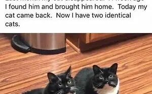 50 Positive And Uplifting Pics From The “Wholesome Meets The Internet” Page