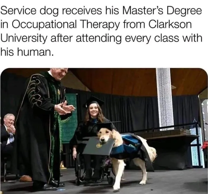 Heartwarming-Wholesome-Meets-The-Internet-Posts