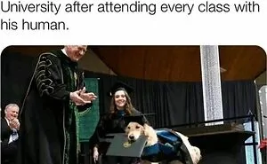 50 Positive And Uplifting Pics From The “Wholesome Meets The Internet” Page