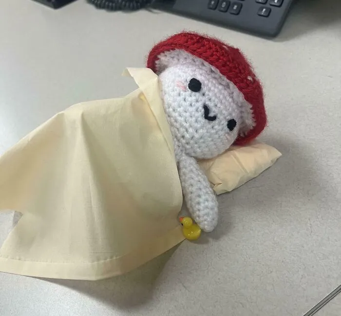 Mi compañera de trabajo hizo un muñeco seta tejido a crochet y alguien lo arropó