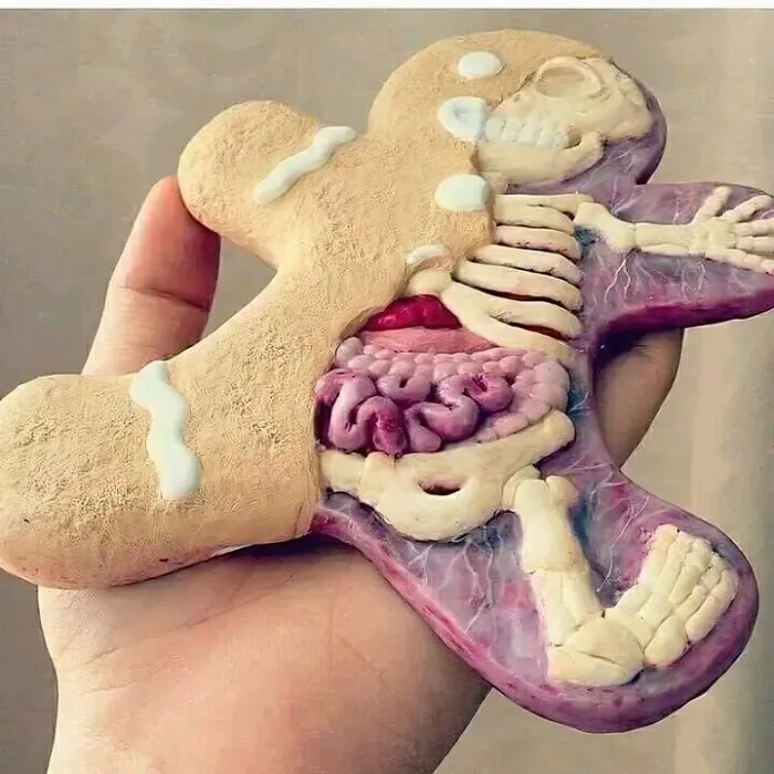 Hombre de pan de jengibre anatómicamente correcto