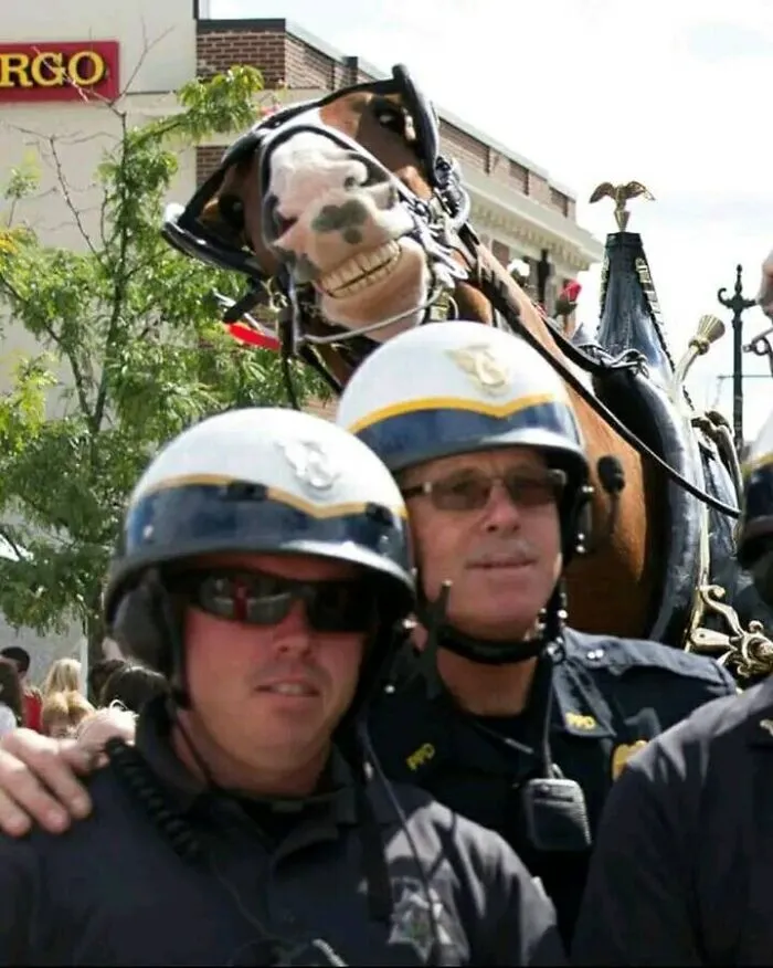 El mejor photobomb