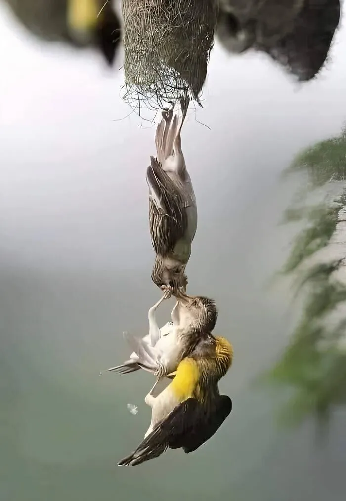 Foto increíble
