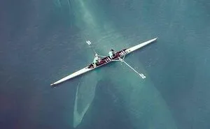 50 Unsettling Images To Leave You With That Eerie Feeling