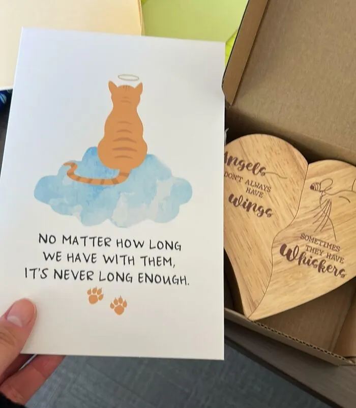 I Had To Say My Final Goodbye To My Kitty Earlier This Week And Took A Last-Minute Day Off During A Really Busy Time. I Was Worried My Coworkers Would Be Annoyed That I Was Out