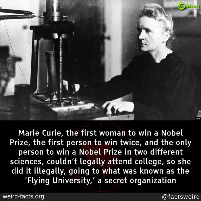 50 “Weird Facts” That You Might Not Have Known Before Today (New Pics)