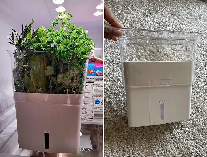 <span Style="Font: Inherit; Color: #d74b1f;"> Fresh Herb Keeper Storage Container</Span>: The Fountain Of Youth For Your Basil, Cilantro, And Mint