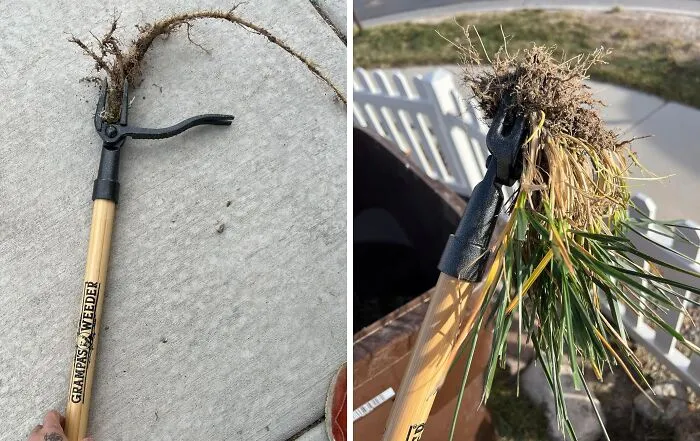 Tired Of Stubborn Weeds Taking Over Your Garden? <span Style="Font: Inherit; Color: #d74b1f;"> The Original Stand Up Weed Puller</Span> Removes Them, Roots And All, With Minimal Effort