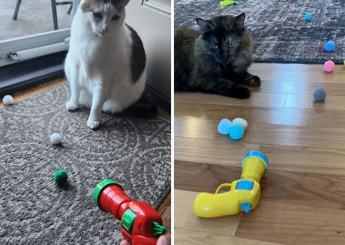 This <span Style="Font: Inherit; Color: #d74b1f;"> Cat Ball Launcher Gun</Span> Is The Purrfect Way To Get Your Cat Moving