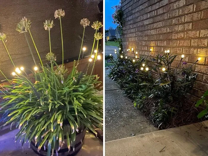 <span Style="Font: Inherit; Color: #d74b1f;"> Solar Garden Lights</Span>:  The Eco-Friendly Way To Add A Touch Of Magic To Your Garden