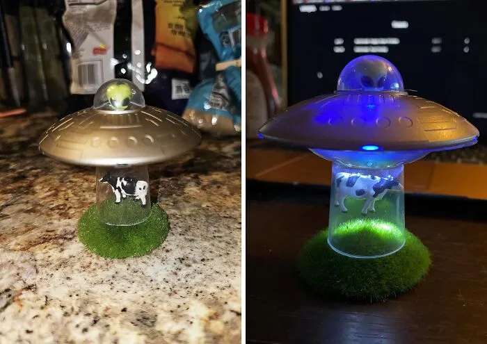 <a Style="Display:inline;" Href="Https://Www.amazon.com/UFO-Cow-Abduction-Bovine-Light/Dp/0762493410?ie=utf8&linkcode=ll1&tag=bpturtle-20&linkid=753001e0ce38a23cd6df427f0d01a7a6&language=en_us&ref_=as_li_ss_tl " Target="_blank"> <span Style="Font: Inherit; Color: #d74b1f;"> UFO Cow Abduction Desk Decor</Span>: The Perfect Gift For The Conspiracy Theorist In Your Life
