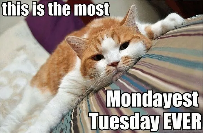 The Mondeyest Tuesday
