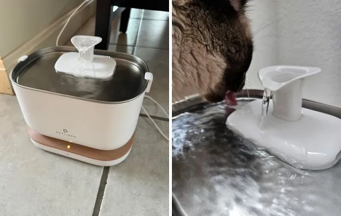 This <span Style="Font: Inherit; Color: #d74b1f;">smart Water Fountain</Span> Will Ensure Your Kitty Has Fresh Flowing Water, Always