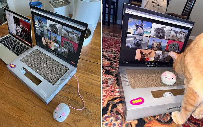 <span Style="Font: Inherit; Color: #d74b1f;"> Scratchpad Pro - Laptop Scratcher Cat Toy</Span>: Finally, Your Cat Can Contribute To Your Work-From-Home Life!
