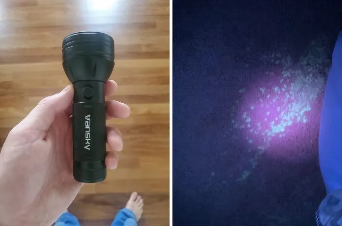 CSI: Pet Edition! This <span style="font: inherit; color: #d74b1f;"> Blacklight Detector</span> Will Reveal Your Pet's Secret Marking Spots