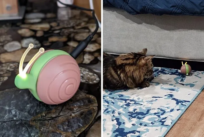Say Goodbye To Couch Potato Cats! <a Style="Display:inline;" Href="Https://Www.amazon.com/Cheerble-Interactive-Wicked-Snail-Rechargeable/Dp/B0cnk58t71?crid=3193c4add3d0q&dib=eyj2ijoimsj9.nylr_g_gykmxb3zgyzfviq3irp1at6lfgvgrk_fig5vbro1zrohijbs3dcyz28omg-Kusvffnqsv5ohxv2weqa2s0sjicssyi4h7xyeacjrabrt1xbf4u2rrc9ijoefrxmydspcra1pke-Cimghnnpucjpfn-66k3hnbwqw-P_lczhc-Mki0k3chak0soe_zwo-Ghdcolstzeka1ww4ixax6uij01ravc600jp3or7vvdm7esjaj8rxq6j3v-Qzxek-Bincaqmxctumtg-2axjpv_z3lgqua-Fhssszw47i.vvw90tuacd3njrpkhs-Tgmmifkssx4jo2zvpiqaia68&dib_tag=se&keywords=pet%2btech%2bgadgets&qid=1718698152&sprefix=tech%2bgadgets%2bfor%2bpets%2caps%2c1027&sr=8-51-Spons&sp_csd=d2lkz2v0tmftzt1zcf9tdgy&th=1&linkcode=ll1&tag=bppanther-20&linkid=3db25fe258003b6513febafb399e8961&language=en_us&ref_=as_li_ss_tl" Target="_blank"><span Style="Font: Inherit; Color: #d74b1f;"> Cheerble Wicked Snail</Span> Encourages Playtime Fun!
