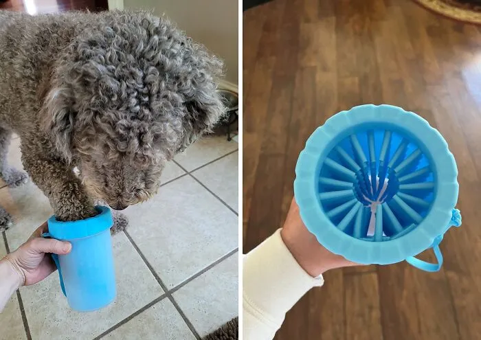 <a Style="Display:inline;" Href="Https://Www.amazon.com/Cleaner-Washer-Buddy-Medium-Absorbent/Dp/B0b2f2szk3?crid=3193c4add3d0q&dib=eyj2ijoimsj9.ihj3nlxqawk1mpr0j-Gjjpxkkrl2phaggaloicswdwejh5imjx3nkk1wijgab7_wpqdwbdshf0gydua97_toffp_vk3gkjerscnny6wg5rsye5_s2uluyrowrtnlexz1_acgmab-N8vuaus3qmmsuhtmnlt1tculdsjukhodjo9ug5_yhmfhymfbntrvlph7sgjefr7v-Iz_v6xokeb6r4jgbgbywfvw2y2ls45m-Jcqkrrci7h4zgvhcb48rfrz1tpfdxstycubtejlzxhfxx8ckym53gvuktomrxx3s6y.cjrkdjqyvspnni1h_rykt3xnh3not4fnovqyjavnkgi&dib_tag=se&keywords=pet%2btech%2bgadgets&qid=1718698022&sprefix=tech%2bgadgets%2bfor%2bpets%2caps%2c1027&sr=8-17&th=1&linkcode=ll1&tag=bppanther-20&linkid=3ffc5d37cd50f88ecc757759d2085a95&language=en_us&ref_=as_li_ss_tl" Target="_blank"><span Style="Font: Inherit; Color: #d74b1f;"> Dog Paw Cleaner</Span>: Your Dog's Feet Will Thank You For This After-Walk Trea