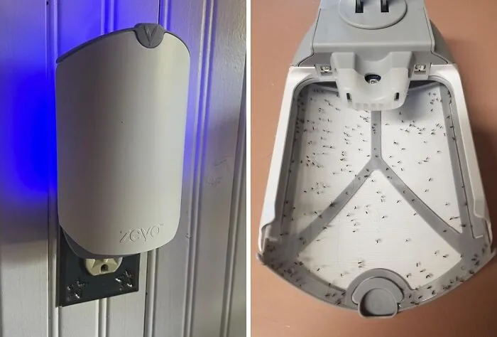 No More Gross, Sticky Fly Paper:  <span Style="Font: Inherit; Color: #d74b1f;"> Zevo Flying Insect Trap</Span> Is The Clean, Odorless Solution For A Pest-Free Home