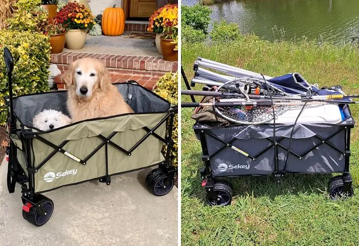 Tired Of Lugging Groceries Or Gear? This <span Style="Font: Inherit; Color: #d74b1f;"> Collapsible Foldable Wagon</Span> Makes Hauling A Breeze