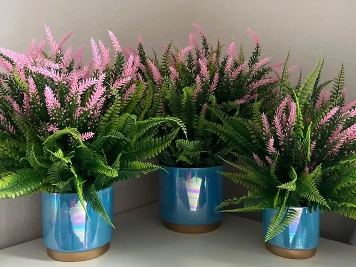 <span Style="Font: Inherit; Color: #d74b1f;"> Holographic Pots For Plants</Span> Make Your Indoor Jungle Sparkle And Shine
