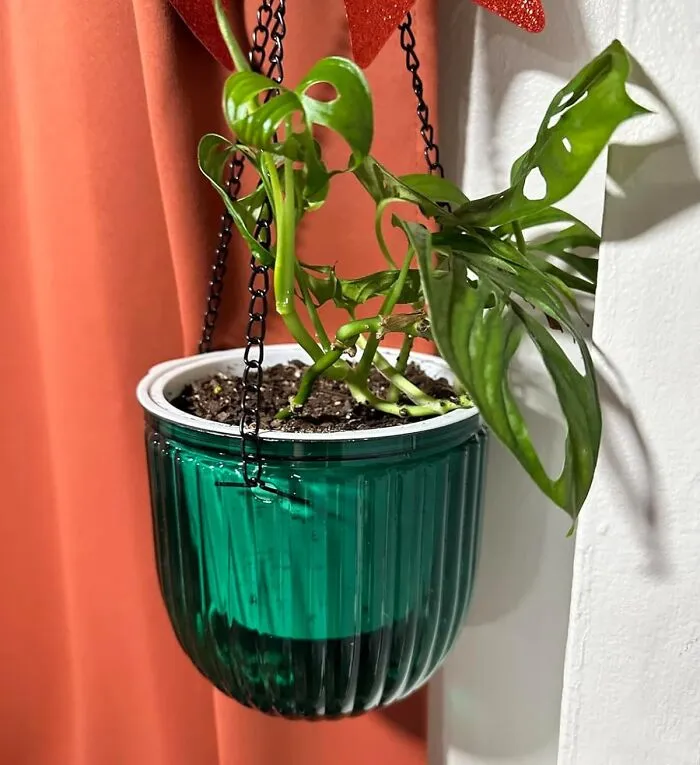 <span Style="Font: Inherit; Color: #d74b1f;"> Self-Watering Hanging Planters</Span>: The "Forgetful Gardener's" Dream Come True 