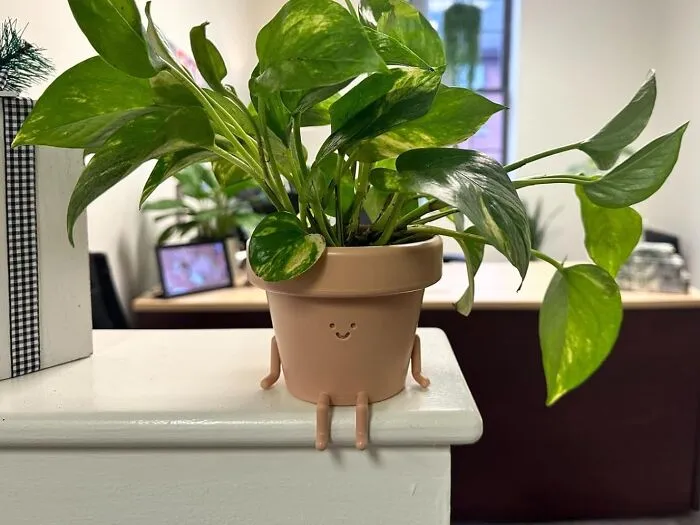 <span Style="Font: Inherit; Color: #d74b1f;"> Earthlings Legs Out Pot</Span>:  The Conversation Starter That Will Make Your Plants The Life Of The Party