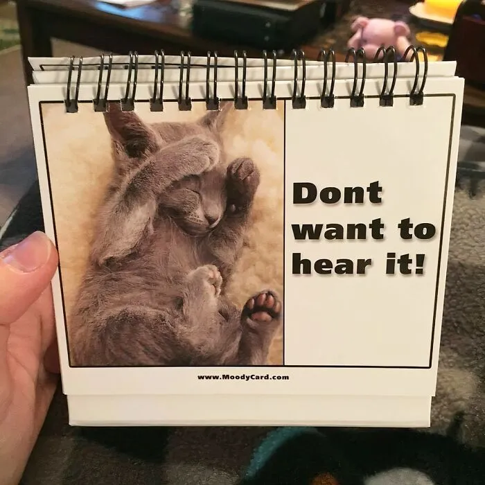 <span Style="Font: Inherit; Color: #d74b1f;"> Cat Meme Desk Cards</Span> Is The Only Therapy You Need