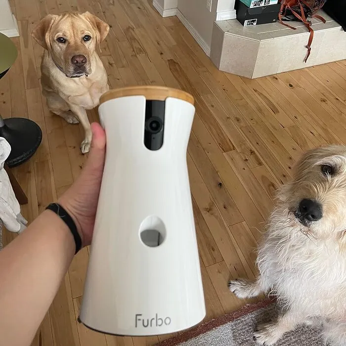 Never Miss A Moment Of Your Fur Baby's Day With The <a Style="Display:inline;" Href="Https://Www.amazon.com/Furbo-Subscription-Designed-Detection-Emergency/Dp/B0bwn22t25?crid=3193c4add3d0q&dib=eyj2ijoimsj9.ihj3nlxqawk1mpr0j-Gjjpxkkrl2phaggaloicswdwejh5imjx3nkk1wijgab7_wpqdwbdshf0gydua97_toffp_vk3gkjerscnny6wg5rsye5_s2uluyrowrtnlexz1_acgmab-N8vuaus3qmmsuhtmnlt1tculdsjukhodjo9ug5_yhmfhymfbntrvlph7sgjefr7v-Iz_v6xokeb6r4jgbgbywfvw2y2ls45m-Jcqkrrci7h4zgvhcb48rfrz1tpfdxstycubtejlzxhfxx8ckym53gvuktomrxx3s6y.cjrkdjqyvspnni1h_rykt3xnh3not4fnovqyjavnkgi&dib_tag=se&keywords=pet%2btech%2bgadgets&qid=1718698022&sprefix=tech%2bgadgets%2bfor%2bpets%2caps%2c1027&sr=8-1-Spons&sp_csd=d2lkz2v0tmftzt1zcf9hdgy&th=1&linkcode=ll1&tag=bppanther-20&linkid=e3940f74088bf20387e607a88c2a95b0&language=en_us&ref_=as_li_ss_tl" Target="_blank"><span Style="Font: Inherit; Color: #d74b1f;"> Furbo 360° Dog Camera</Span>