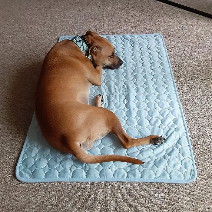<span Style="Font: Inherit; Color: #d74b1f;"> Summer Cooling Mat & Sleeping Pad</Span>: Your Pet's Chill Zone For Hot Days!