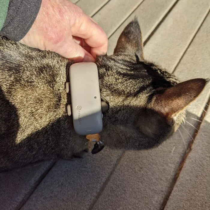 Worried About Your Wandering Pet? Never Lose Sight Of Your Furry Friend With <span Style="Font: Inherit; Color: #d74b1f;"> Tractive Gps Tracker</Span>